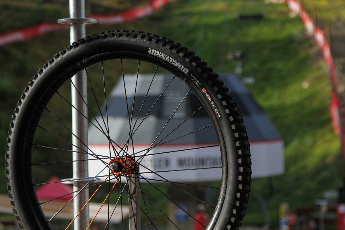 A picture of the Maxxis Dissector Mountain Bike Tyre on a rim