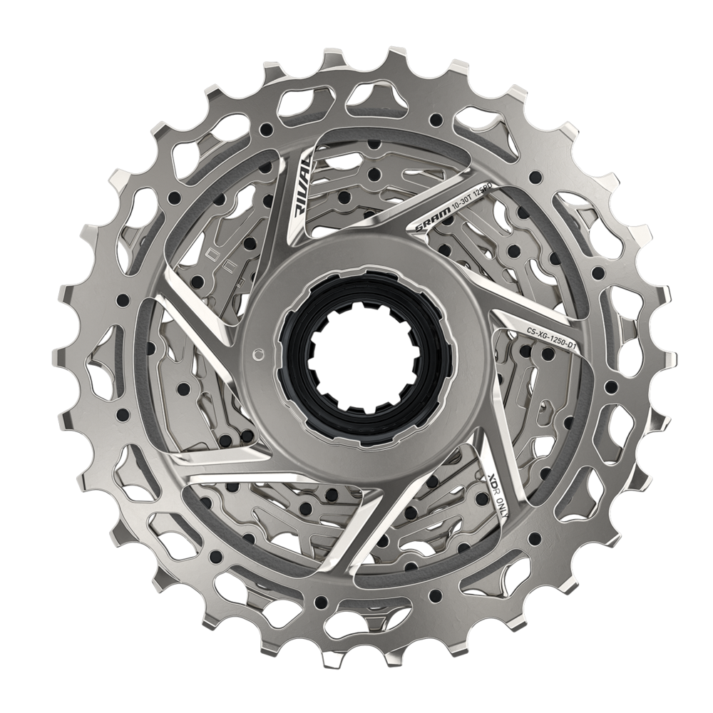 The back of a bicycle gear cassette on a white background