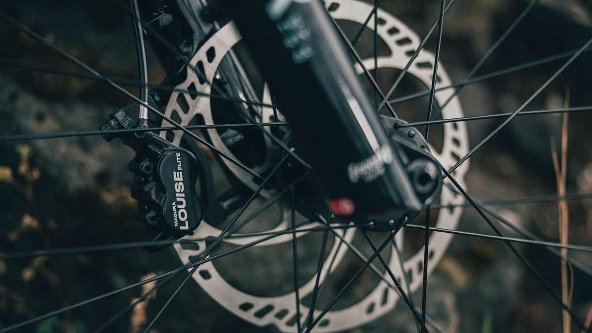 Close-up of a mountain bike's front wheel and disc brake assembly, showing a black LOUISE brake caliper and fork against a blurred outdoor background.
