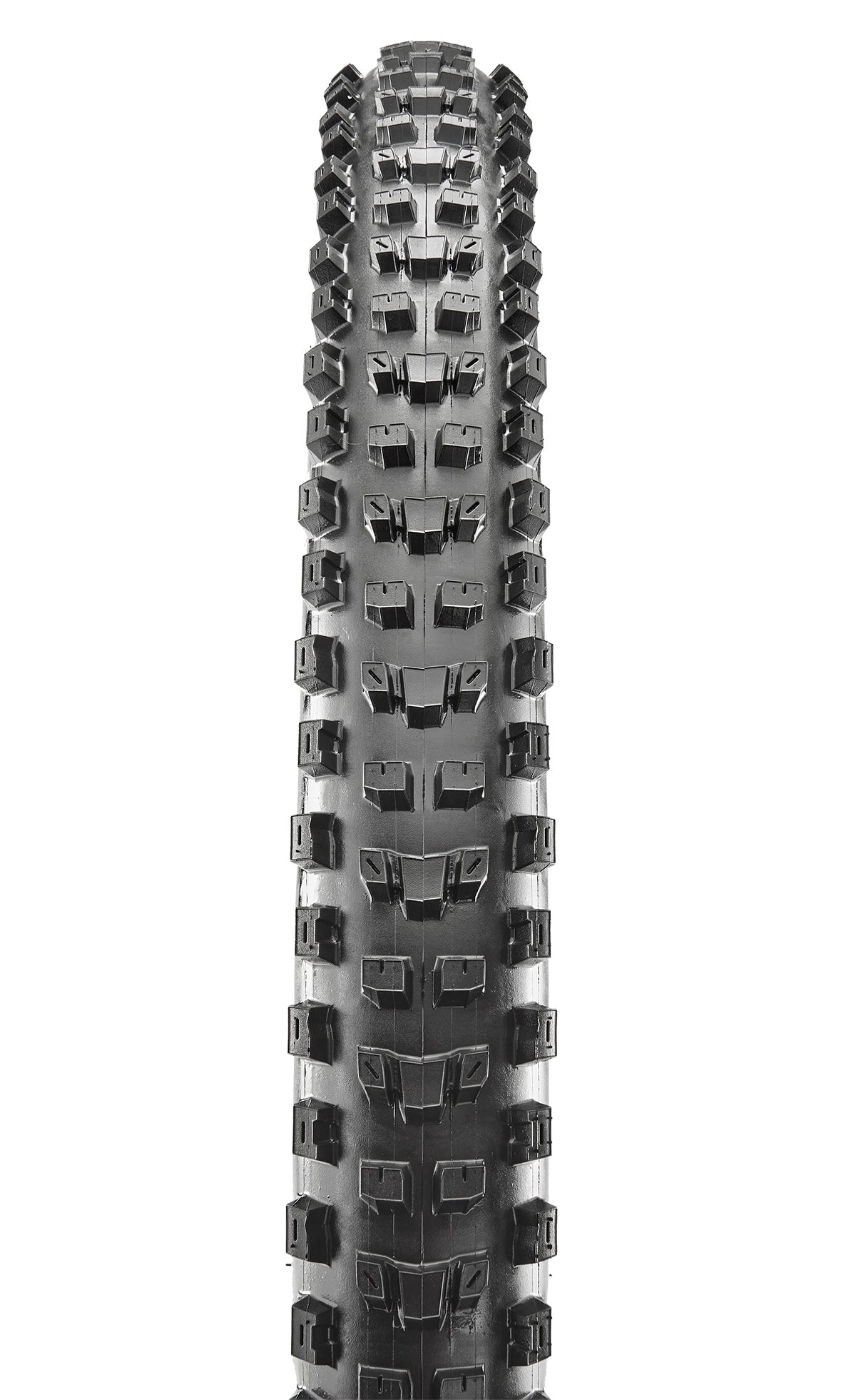 A picture of the Maxxis Dissector Mountain Bike Tyre
