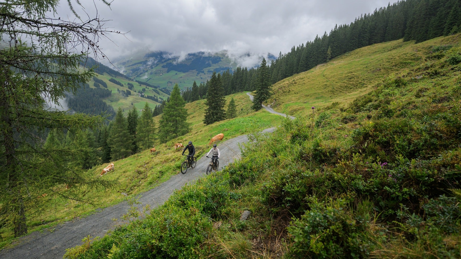 Two cyclists on a mountain road with greenery and mountains in the background