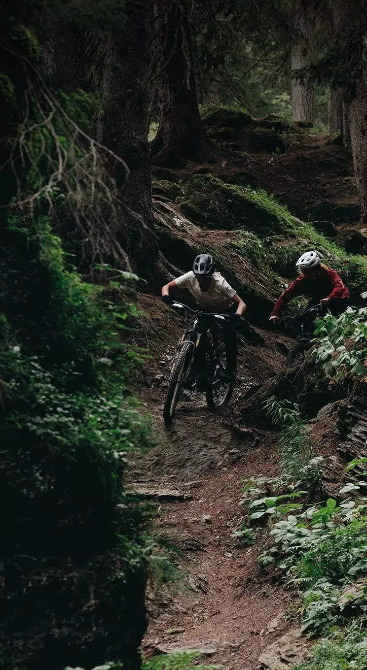Two mountain bikers riding on a trail through a forest.