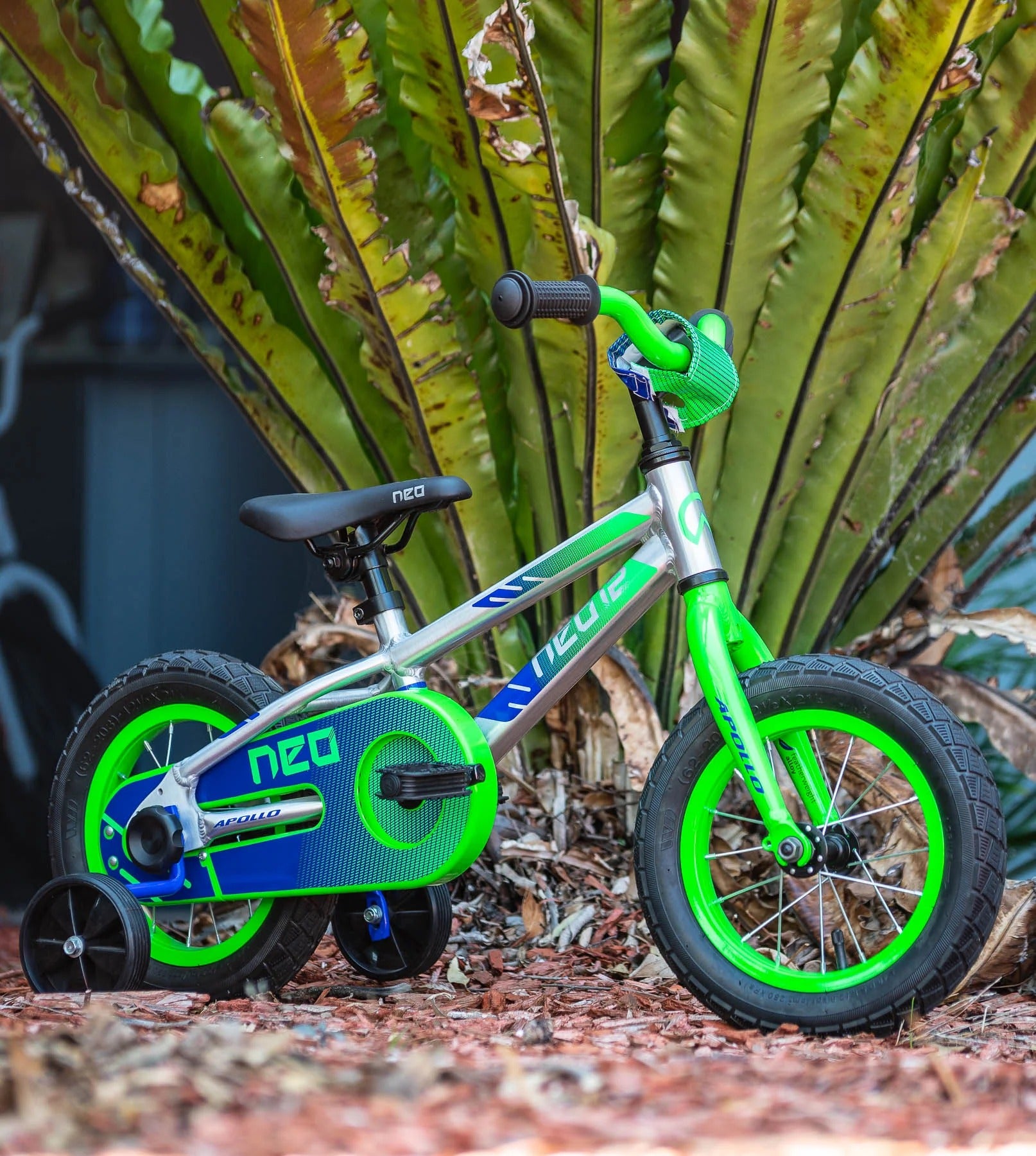 Kids silver, blue and green Neo kids bike with training wheels outside with a large leafed plant in the background