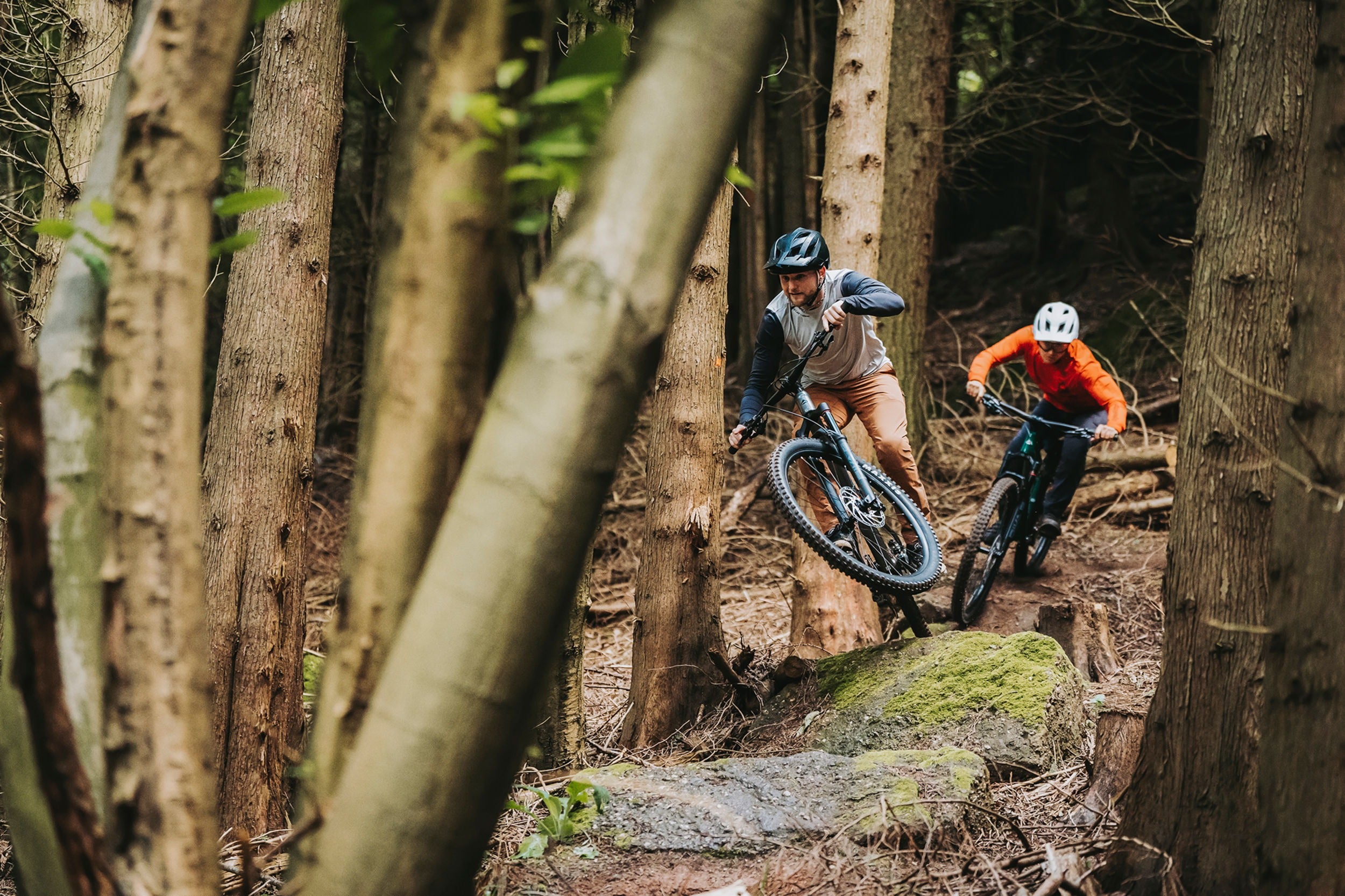 Two mountain bikers navigating a trail in a forest