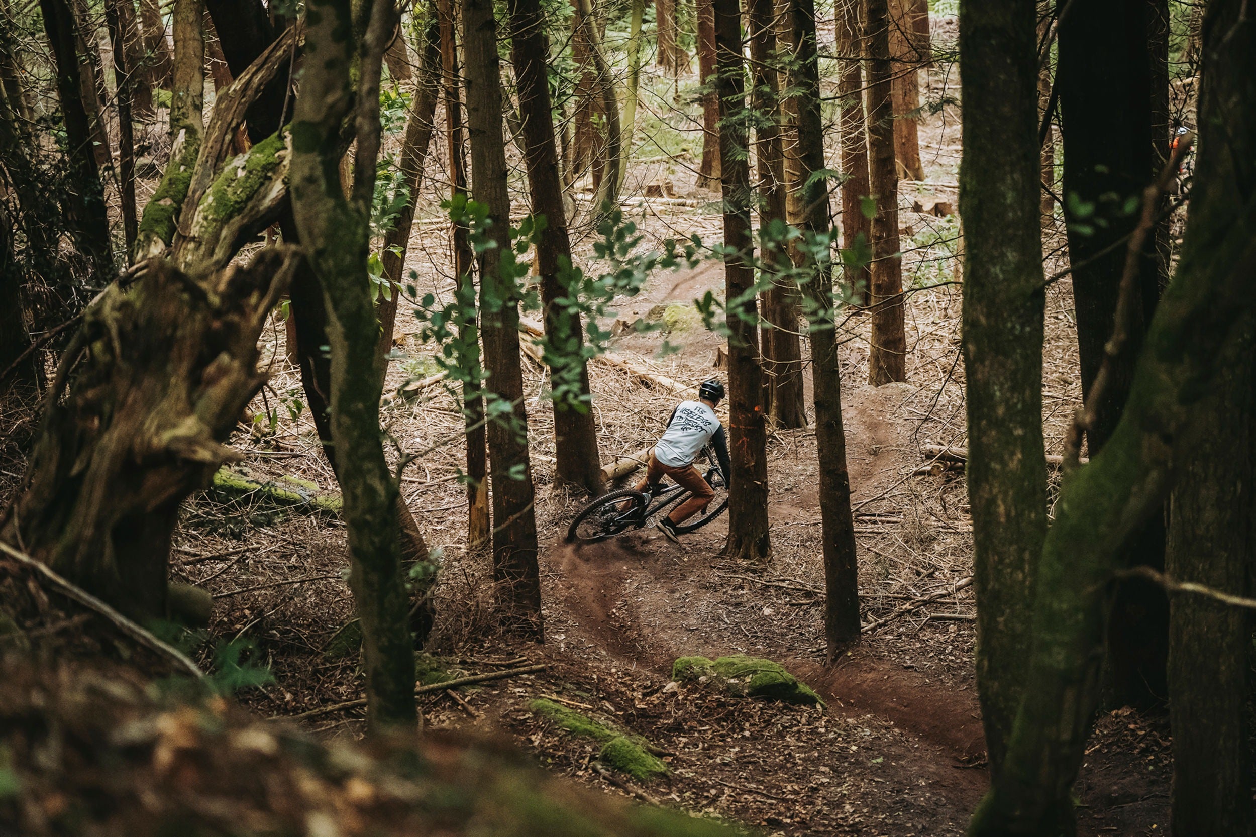Person riding a bicycle through a forest
