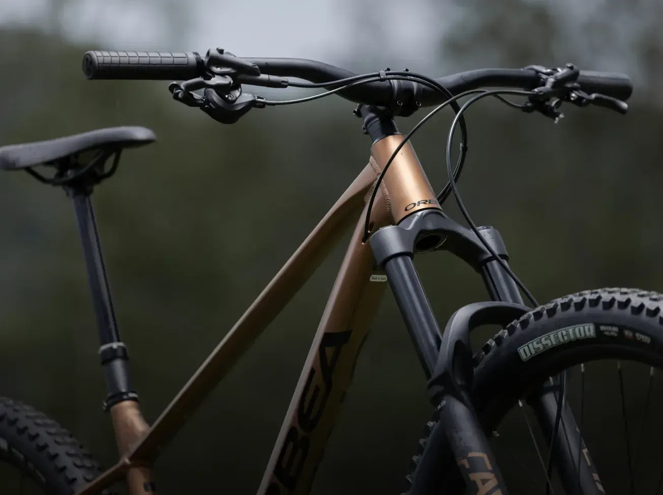 Close-up of a bronze mountain bike with a blurred background