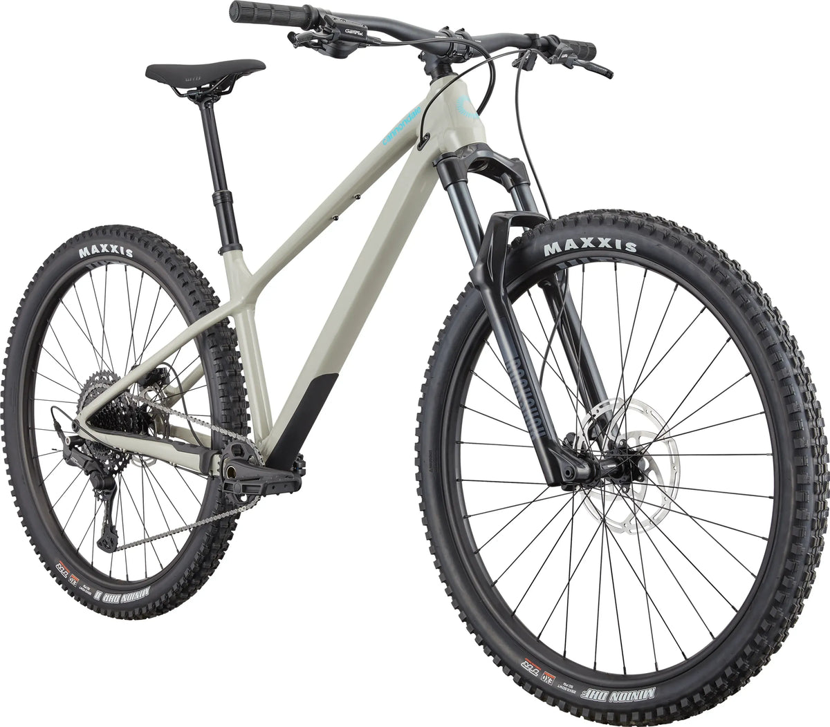A grey hardtail mountain bike on a white background