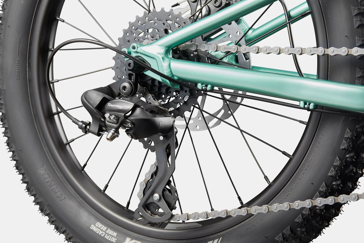 Close up of the rear drivetrain on a green kids mountain bike on a white background