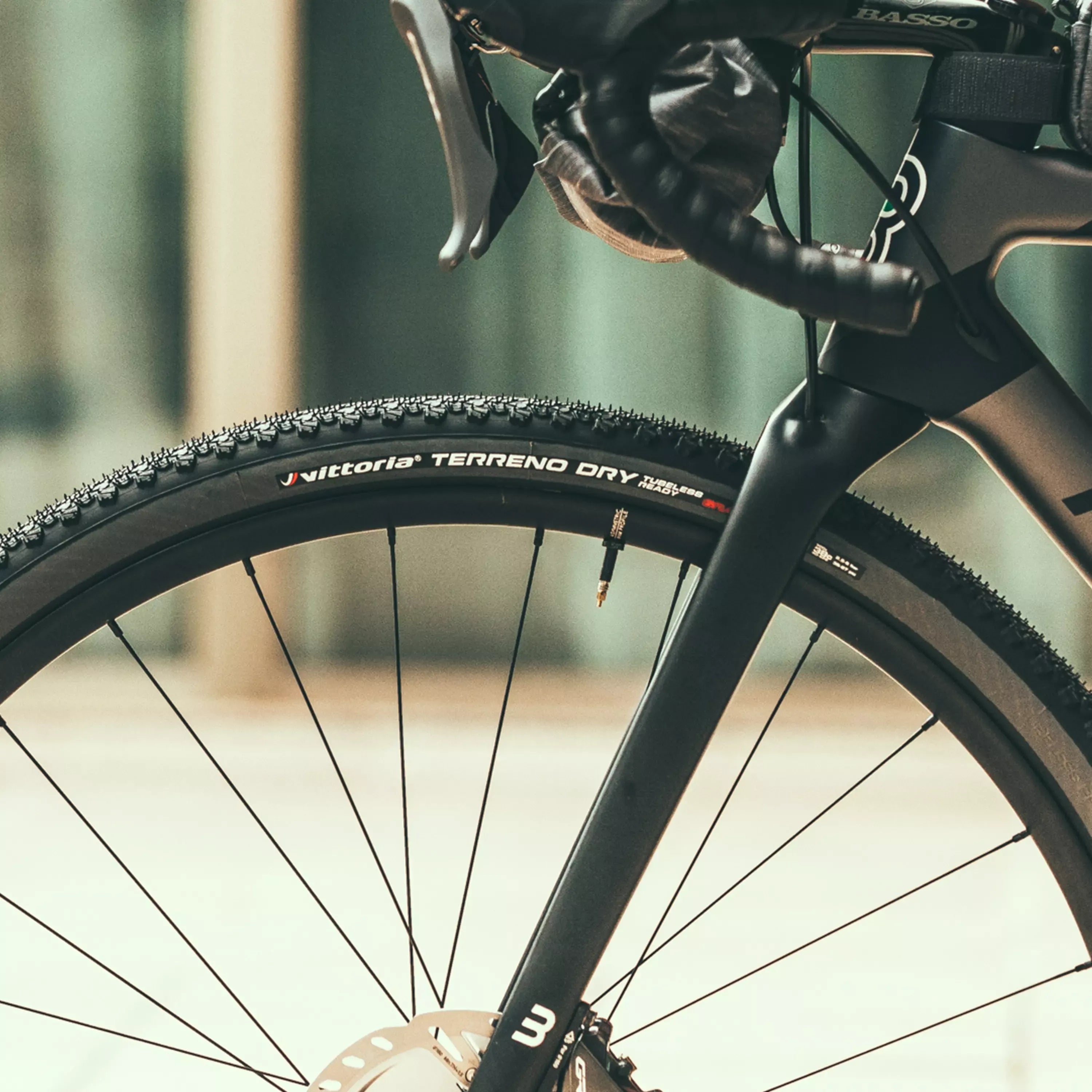 Close-up of a bicycle wheel with 'Vittoria Terreno Dry' tyres on a blurred background