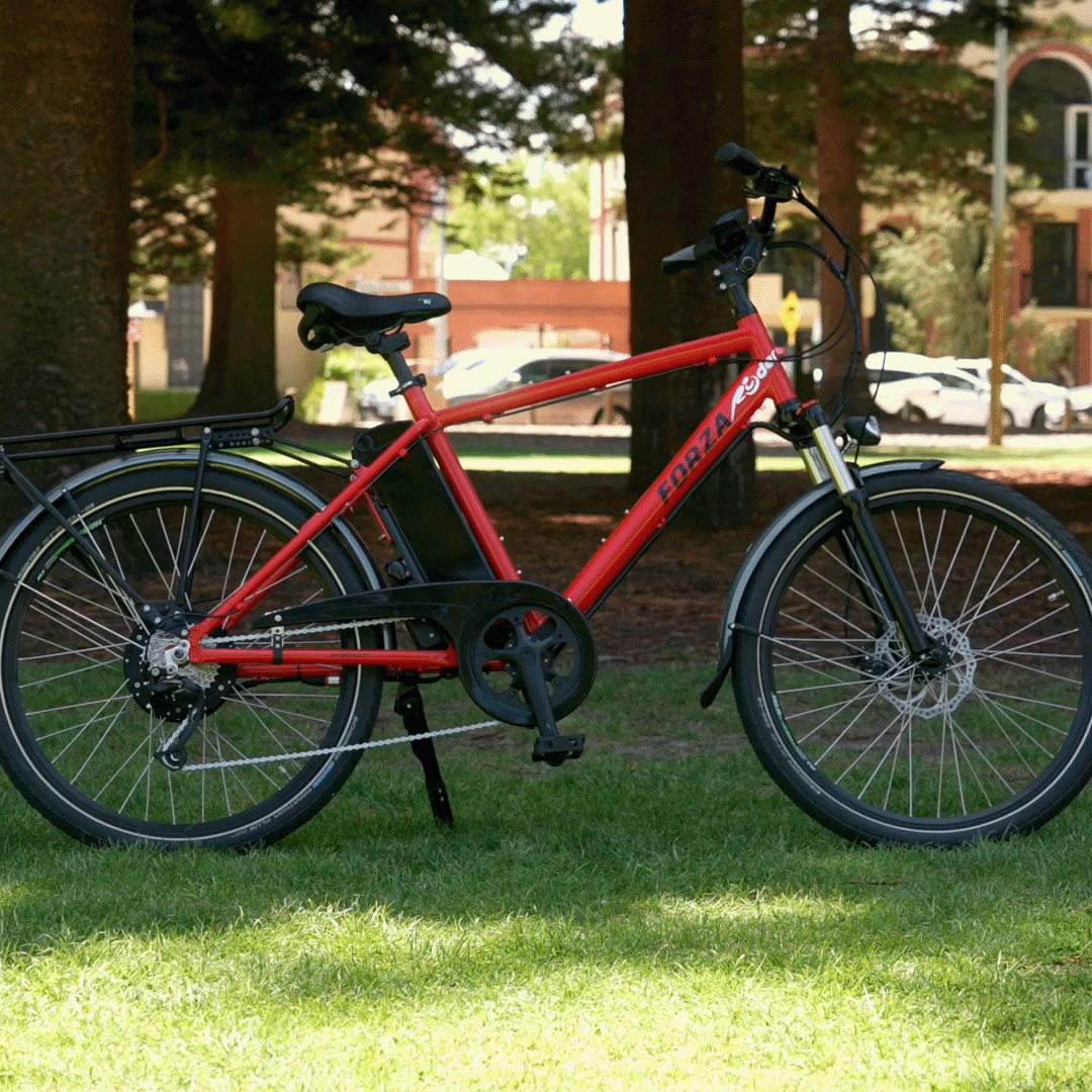 Red Ryder Forza Electric Bike against a forest background