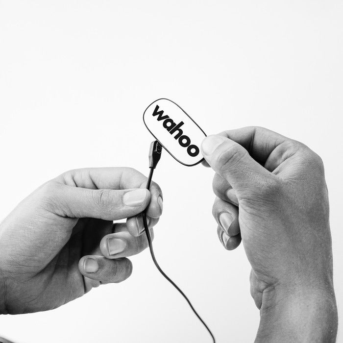 Black and white illustration of hands holding a small device with 'wahoo' branding.