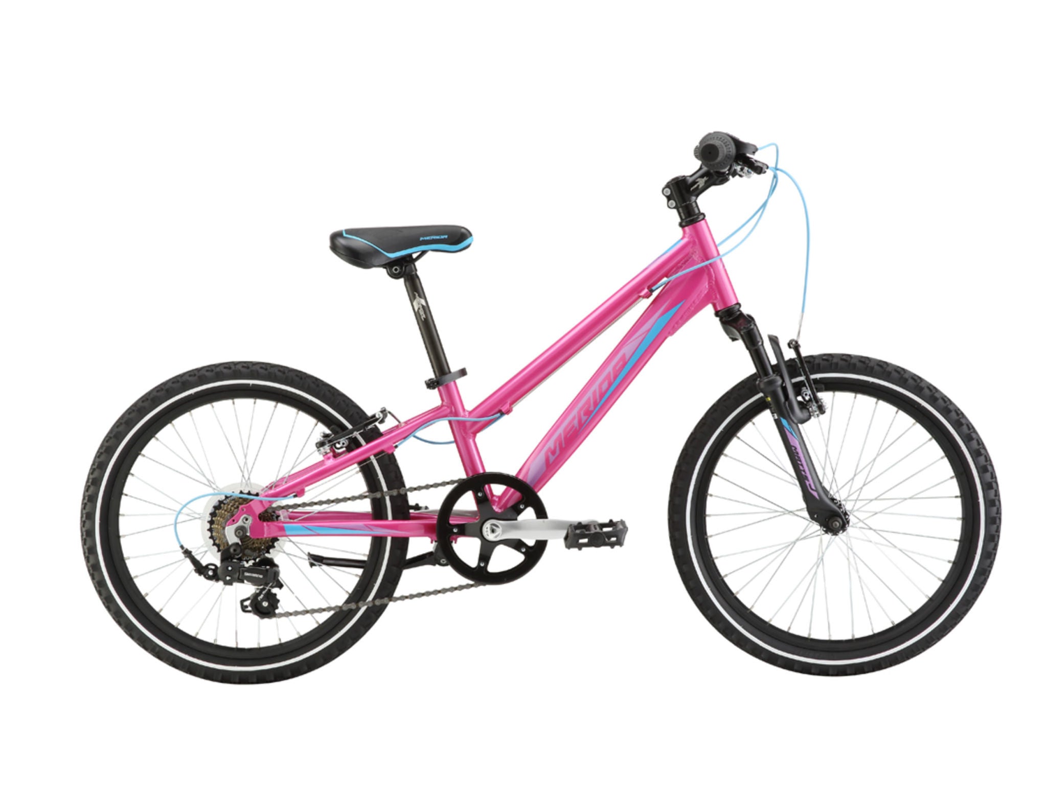 Matts J20" Girls Mountain Bike