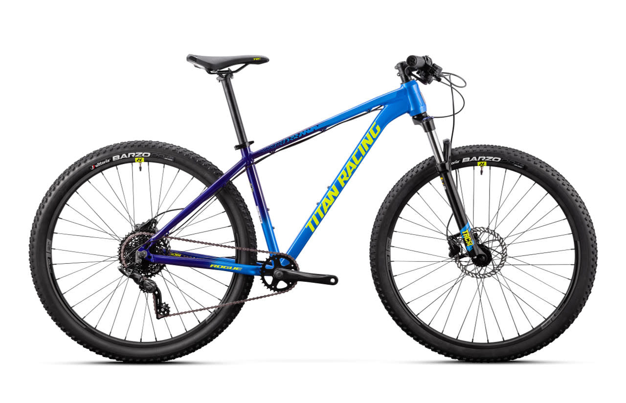 Rogue Ryde 29er MTB