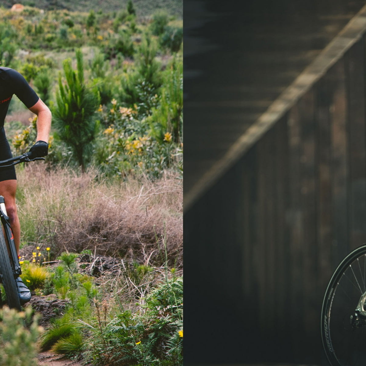 Best recreational bike hotsell