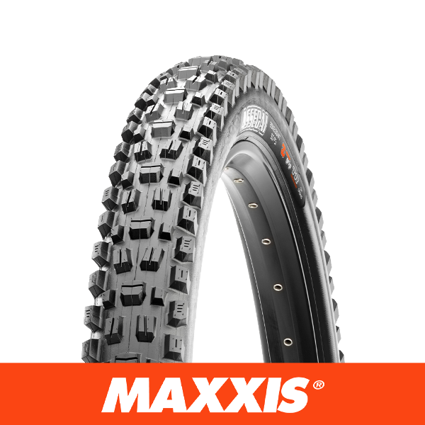 Assegai 29 x 2.5 WT Grip EXO TR 60 TPI Tyre