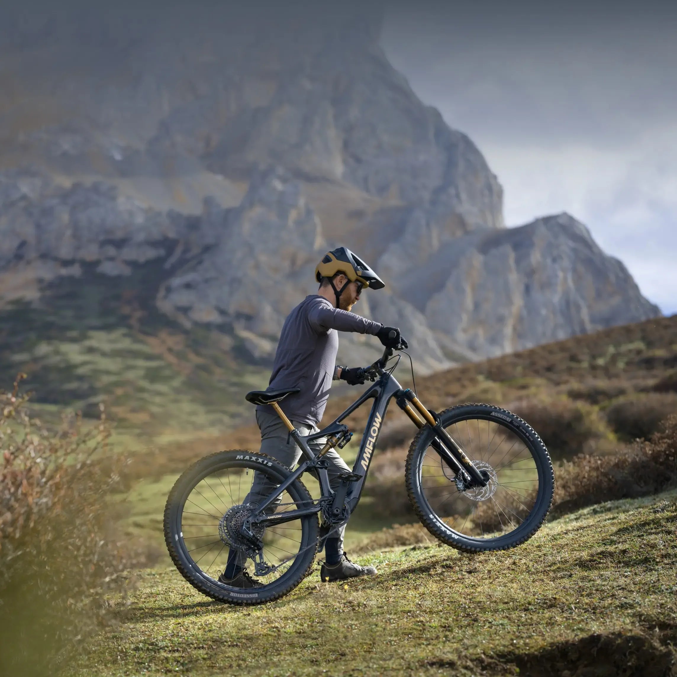 Person with a mountain bike in a mountainous landscape