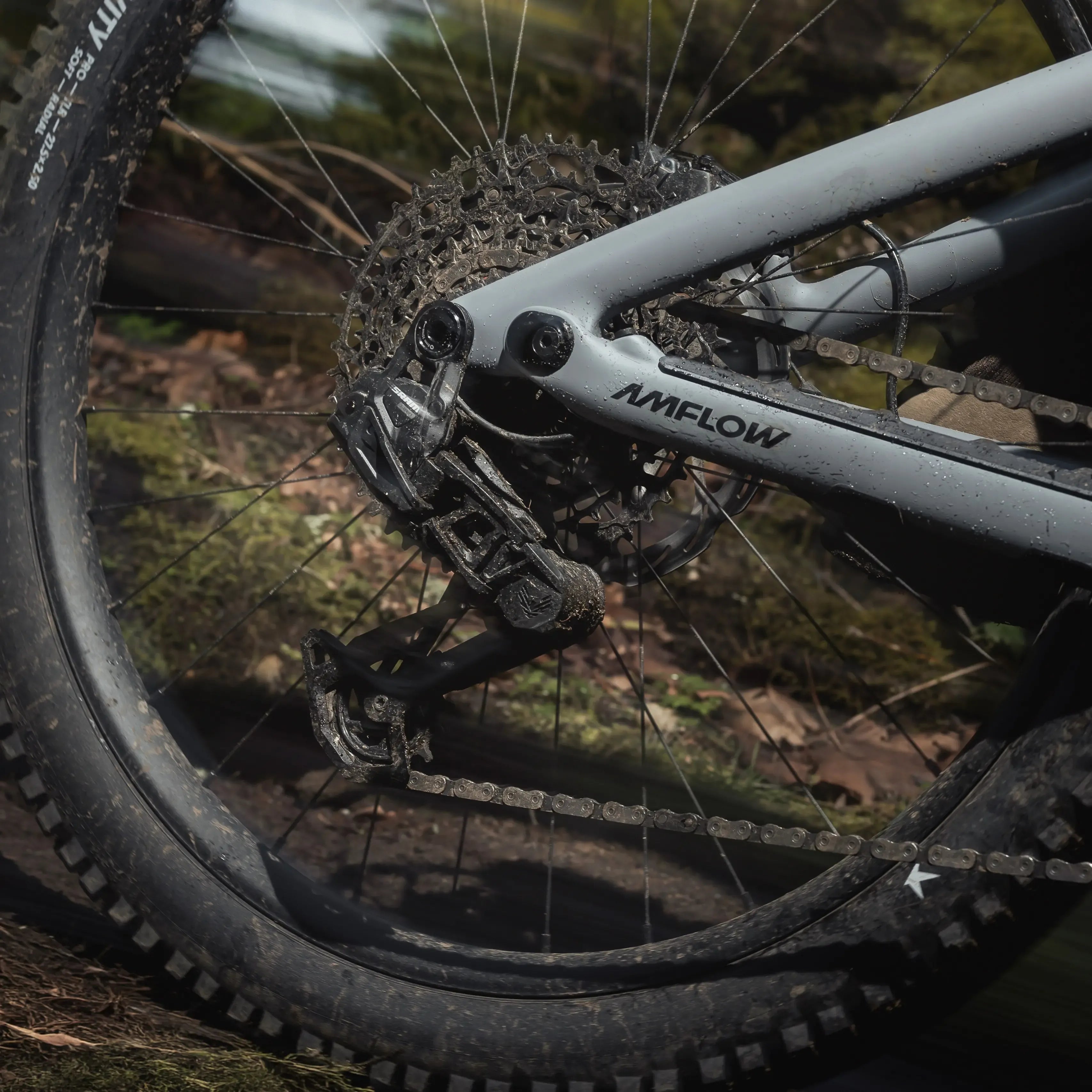 Close-up of a bicycle chain and gear system with 'AMFLOW' branding, set against a natural background.
