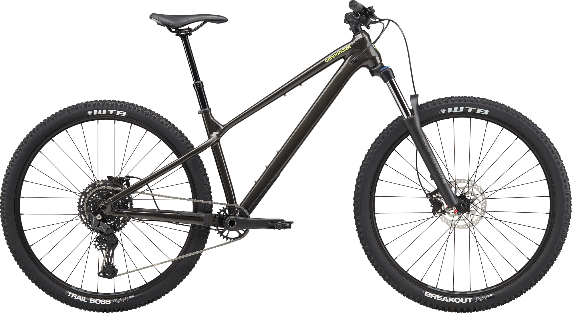 Black Cannondale mountain bike on a white background