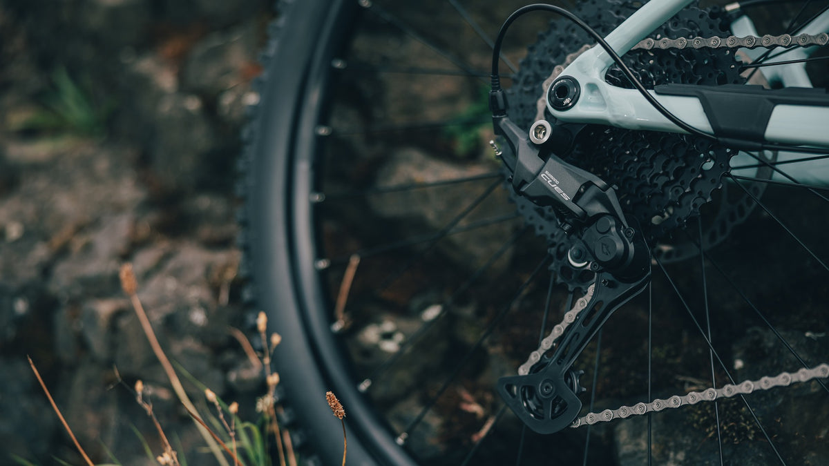 Close-up of a mountain bike's rear wheel and drivetrain, showing a black derailleur, chainring, chain, and part of the frame, photographed outdoors against blurred rocks and grass.