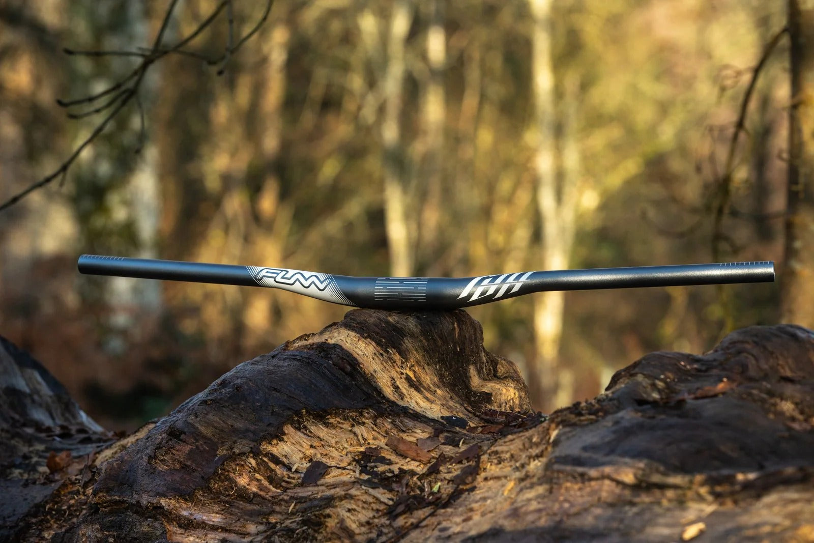 Mountain bike handlebar with 'Funn' branding on a wooden log in a forest setting