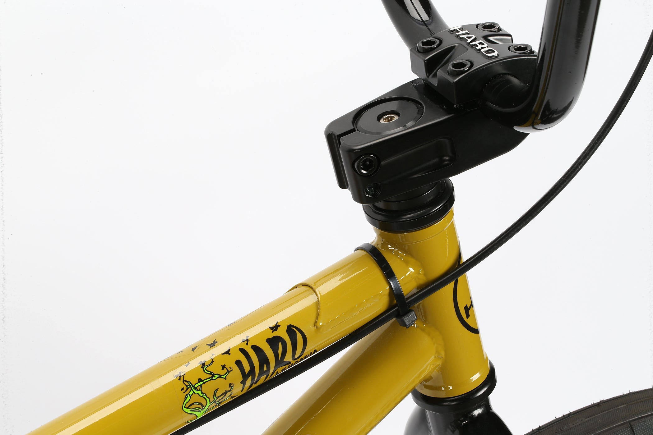 A close up picture of the headset of the Haro Leucadia BMX Bicycle 