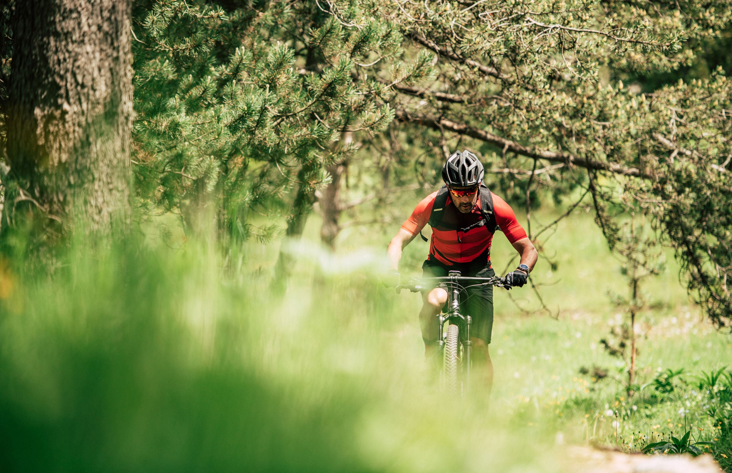 A picture of someone riding a Merida mountain bike