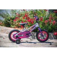 12" Girls Bike