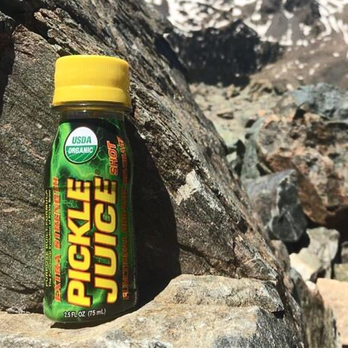 Bottle of Pickle Juice on a rocky surface