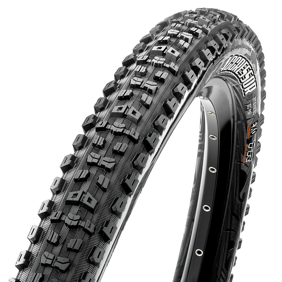 Aggressor 29 x 2.3 EXO TR 60 TPI MTB Tyre