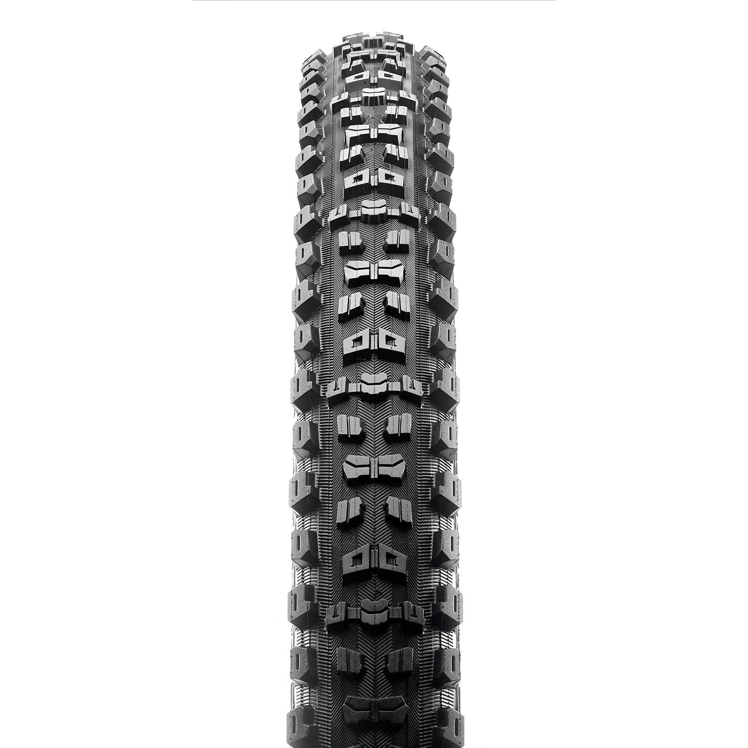 Aggressor 29 x 2.3 EXO TR 60 TPI MTB Tyre