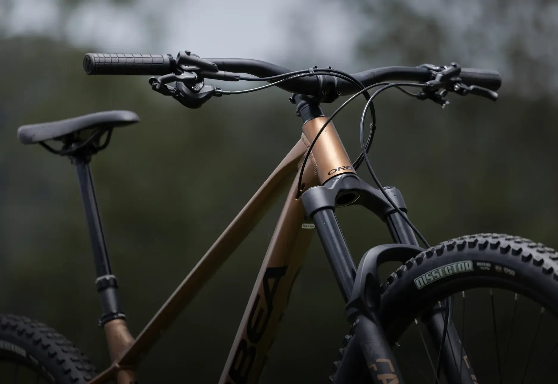 Close-up of a bronze mountain bike with a blurred natural background
