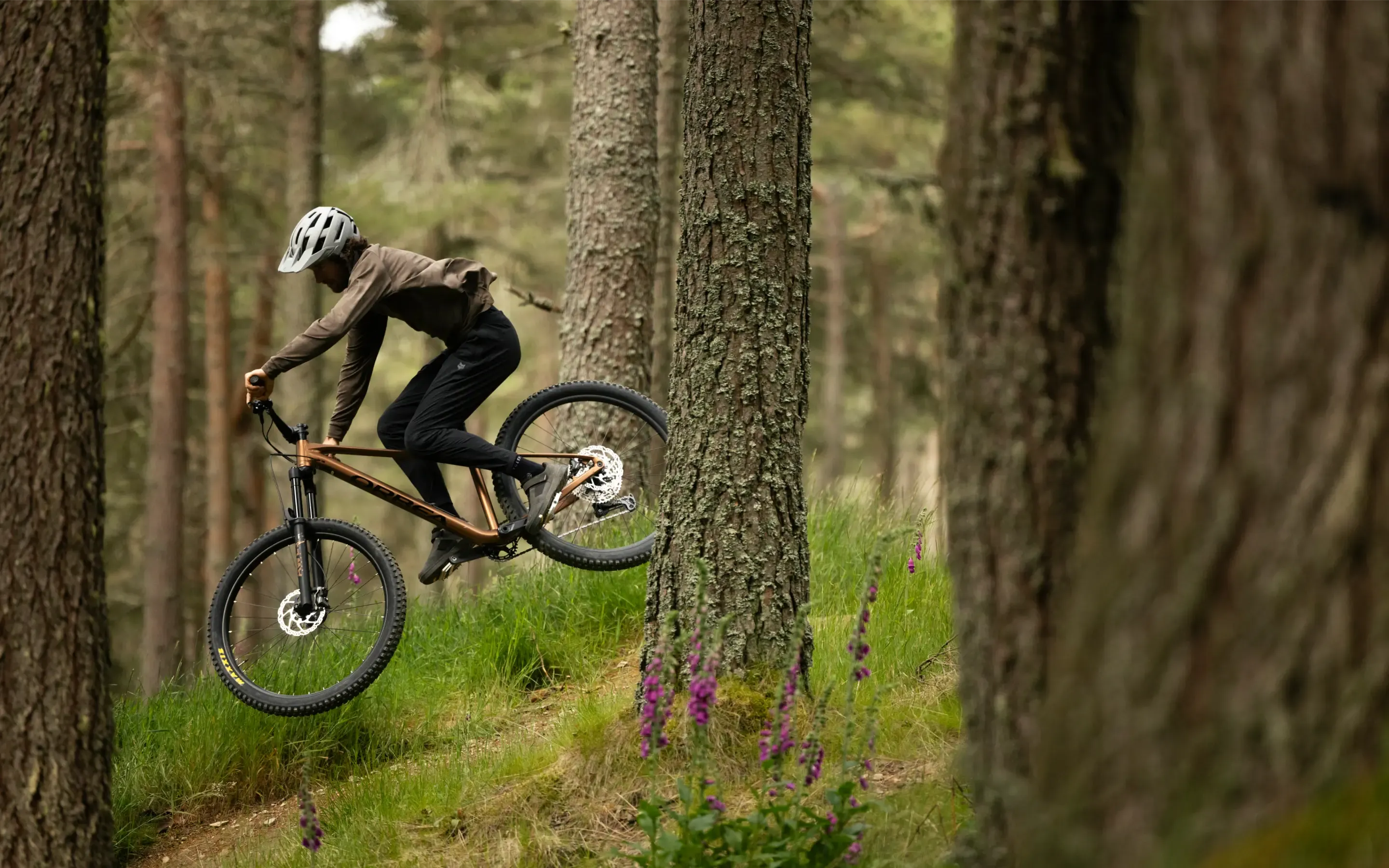 Person riding a mountain bike through a forest
