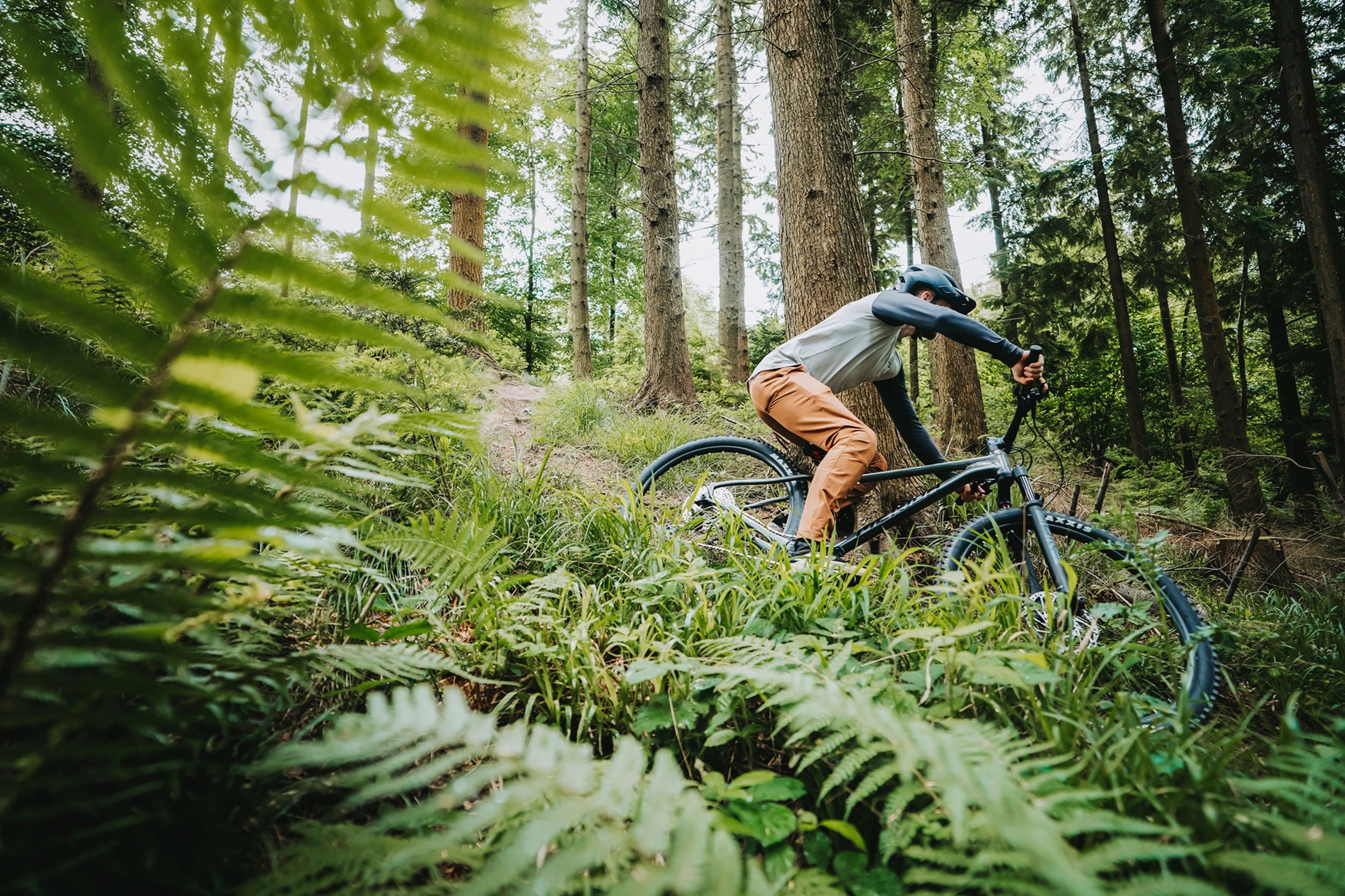 Person riding a mountain bike through a forest with ferns in the foreground