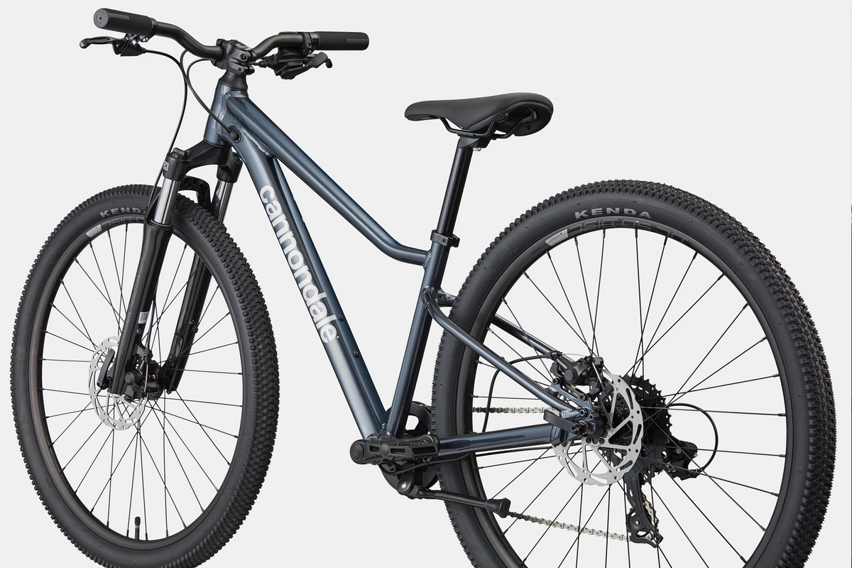 Steel Blue Cannondale mountain bike on a white background