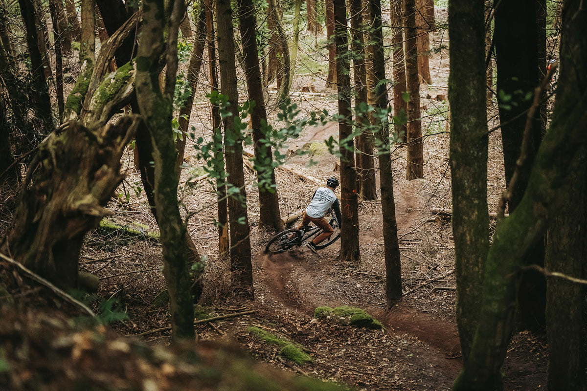 A mountain biker navigating his bike through a forest trail