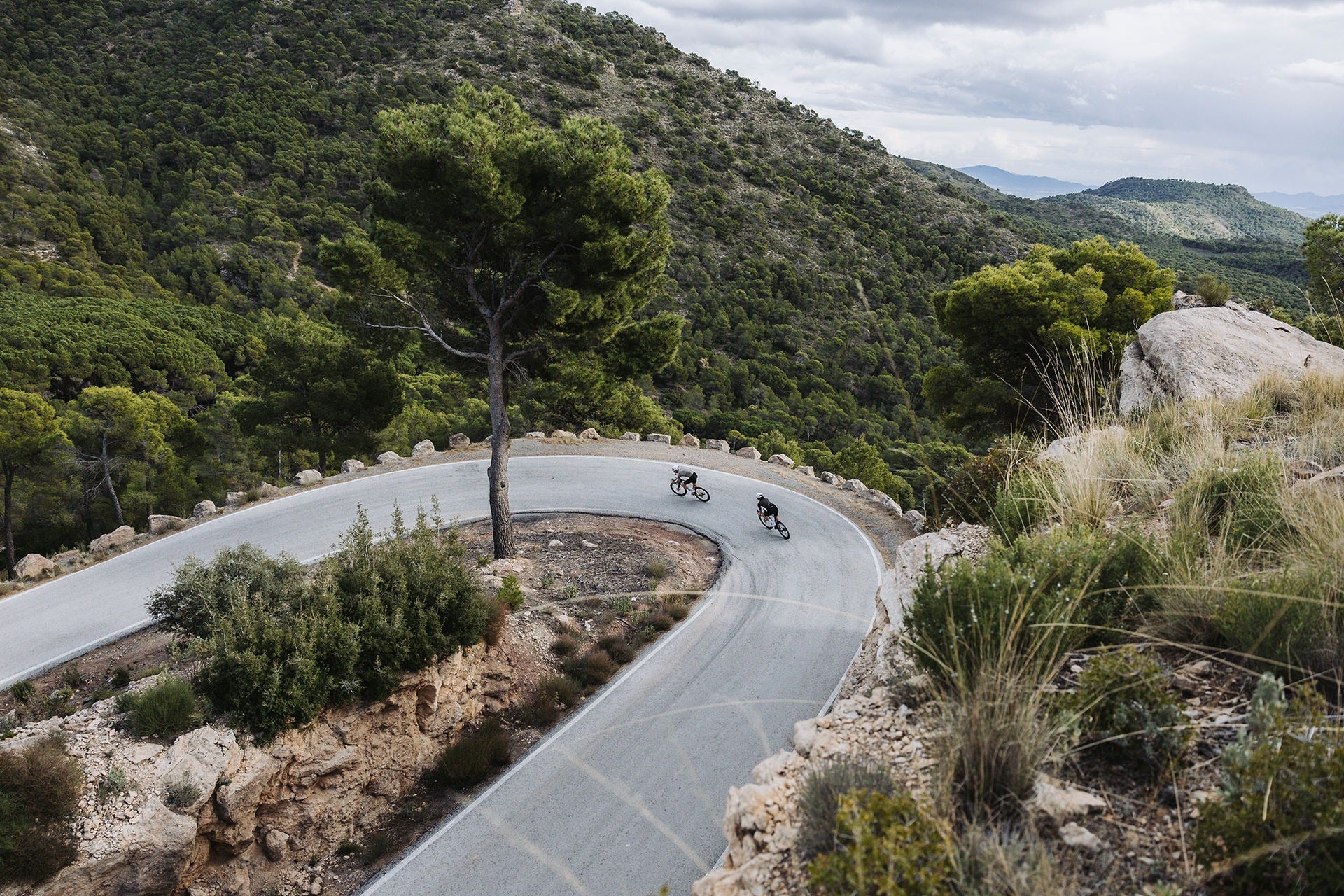 Two cyclists riding on a winding road through a mountainous landscape with trees