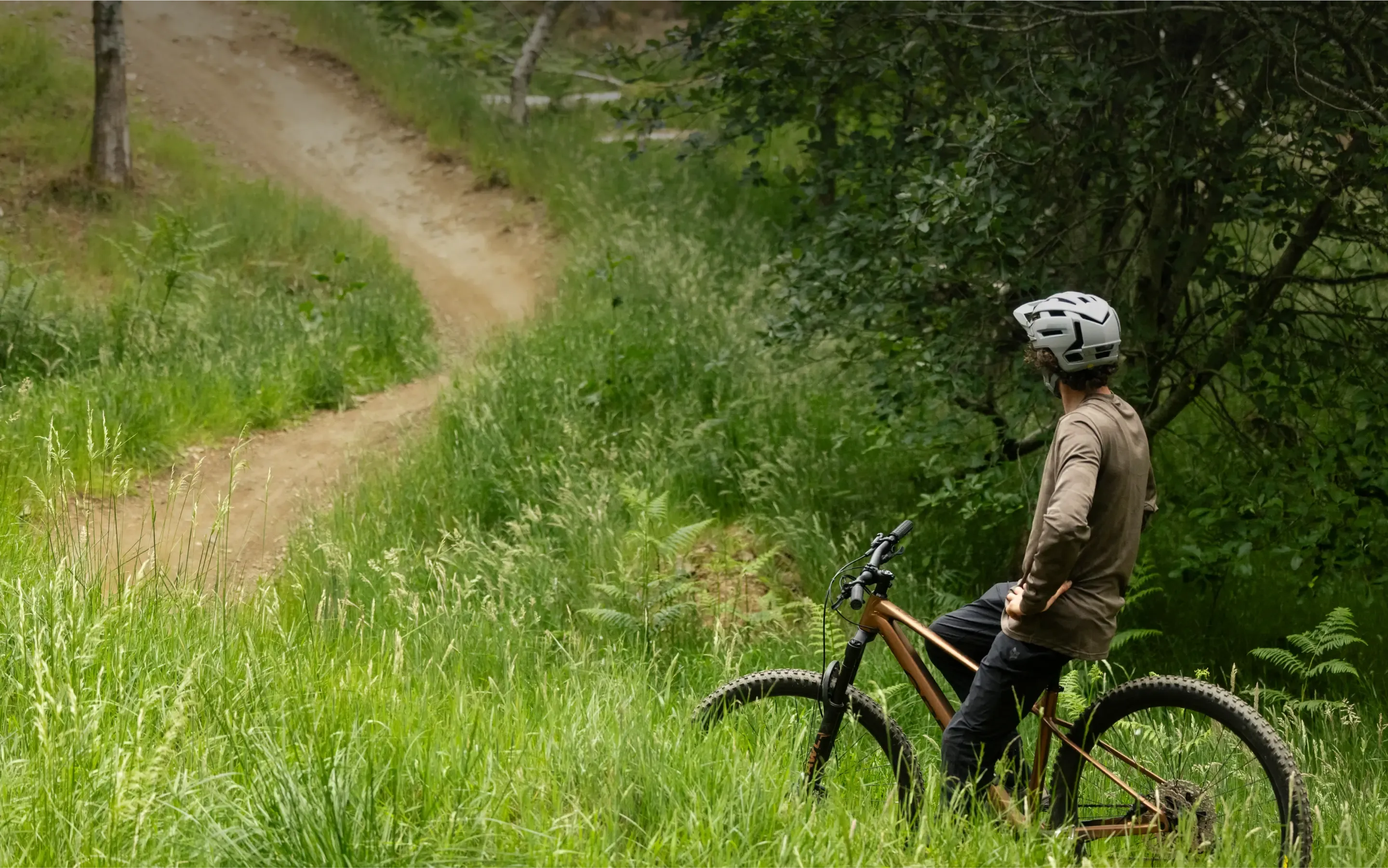 Person on a mountain bike in a forest setting