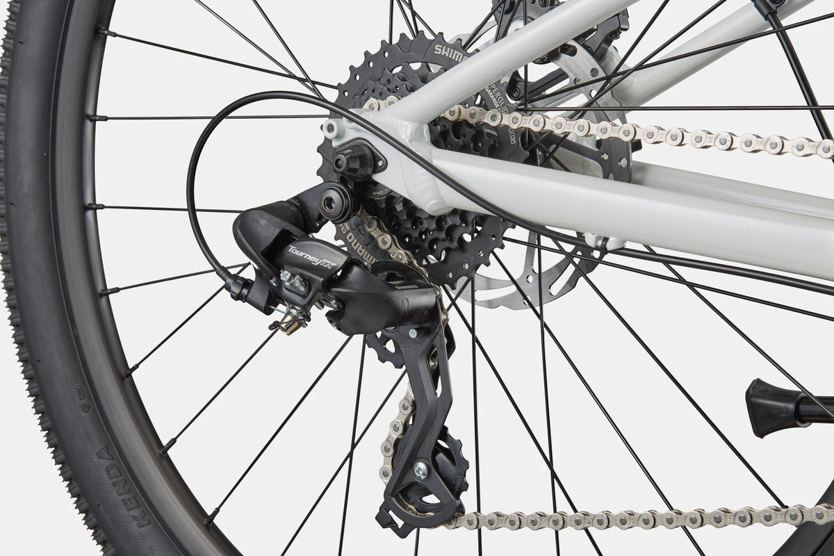 Close up of the rear cassette on a white mountain bike on a white background
