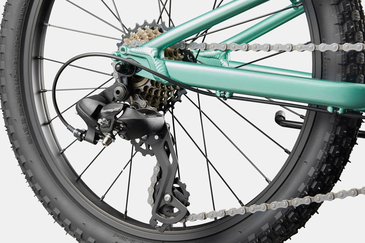 A close up of the rear cassette on a green kids mountain bike on a white background