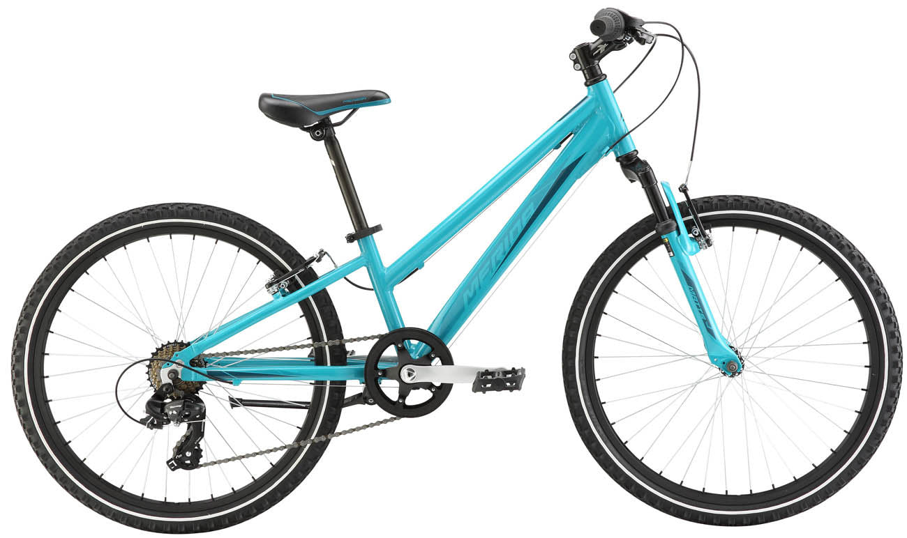 Matts J24" Girls Mountain Bike